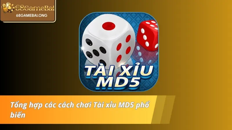 Cách chơi tài xỉu MD5