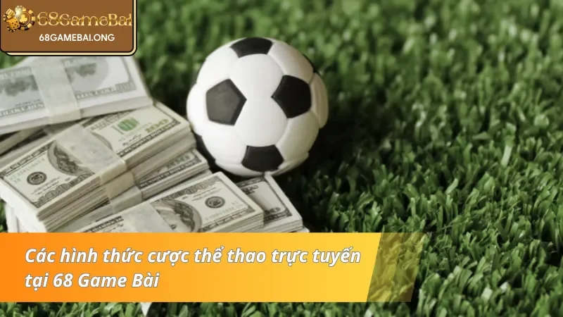 Khám phá các tỷ lệ cược thể thao phổ biến