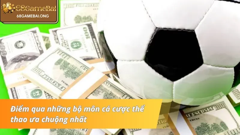 Các loại hình thể thao đỉnh cao cho bet thủ