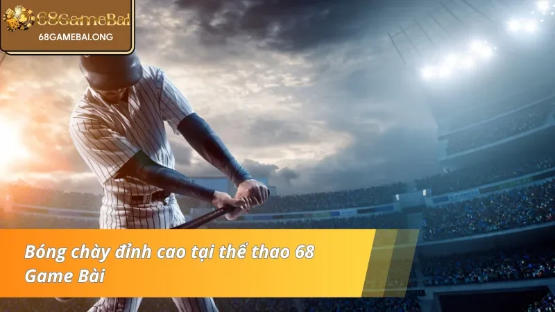 Cá cược bóng chày siêu kinh điển tại sảnh thể thao hàng đầu